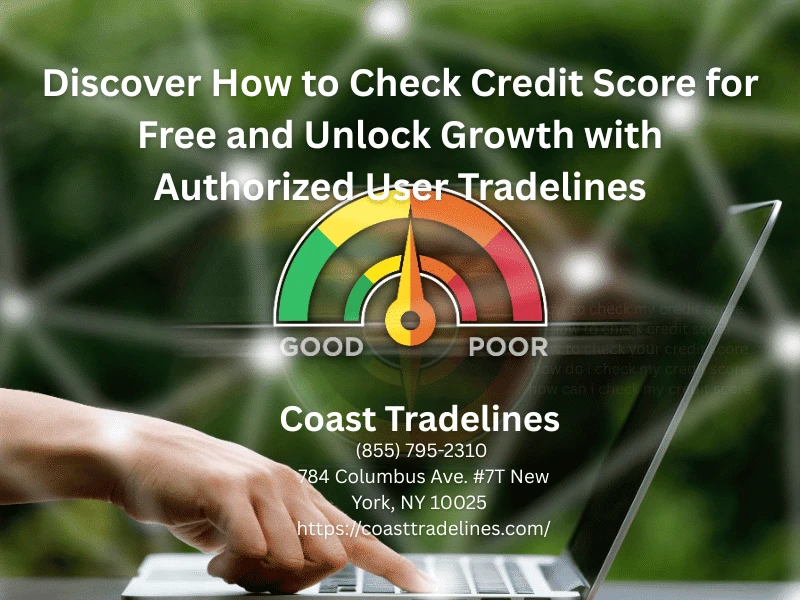 how to check my credit score